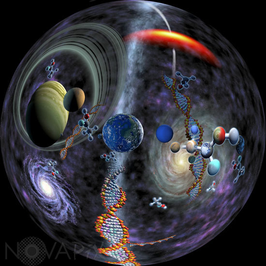 Organic Universe - Illustration