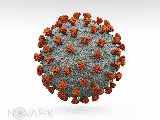 Coronavirus - Illustration