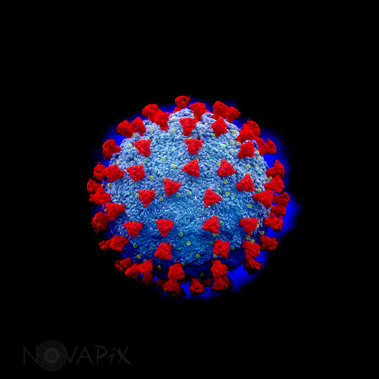 Coronavirus - Illustration