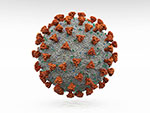 Coronavirus - Illustration