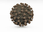 Coronavirus - Illustration