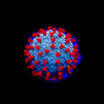 Coronavirus - Illustration