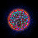 Coronavirus - Illustration