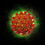 Coronavirus - Illustration