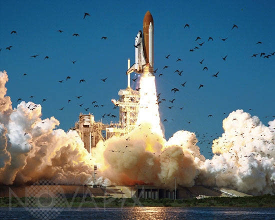 Launch of the Shuttle Challenger STS 51-L Jan 28 1986