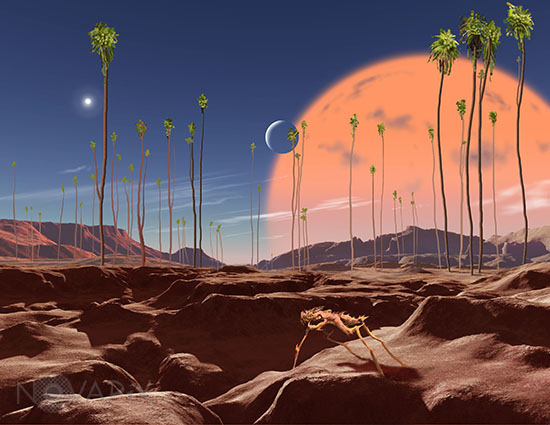 Life on a low gravity world