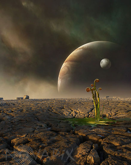 Alien flora