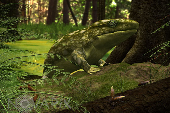 Ichthyostega