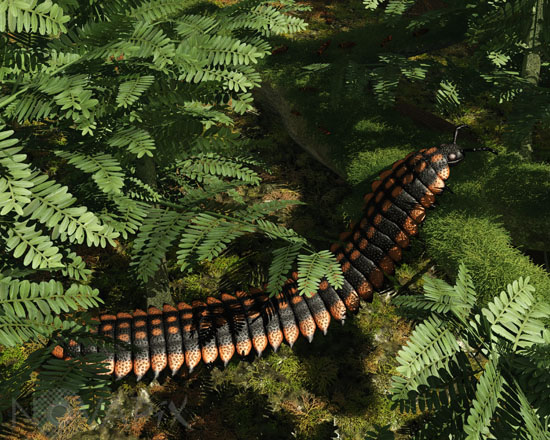 Arthropleura amidst Neuropteris