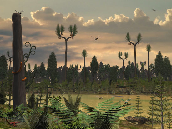 Carboniferous riverbank