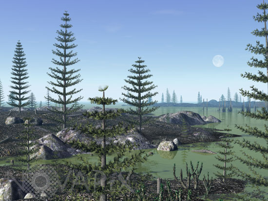 Calamites & Drepanophycus