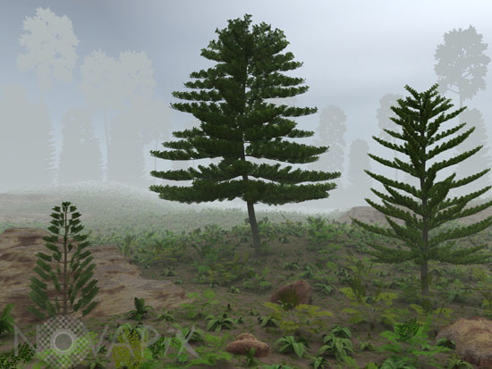 Conifers and Cordaitales