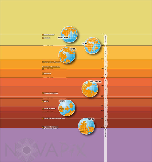 Histoire de la Terre