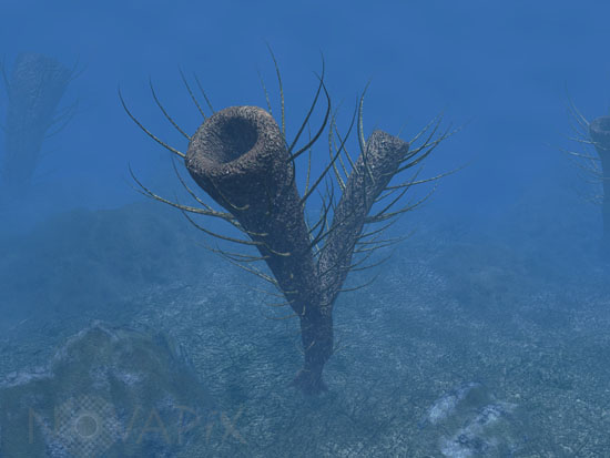 Pirania
