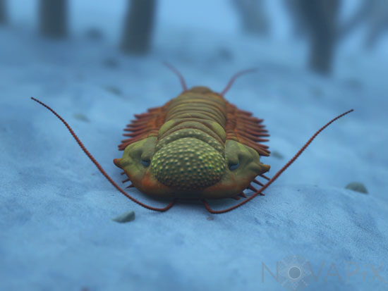 Trilobite