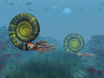 Ammonites - Vue d'artiste