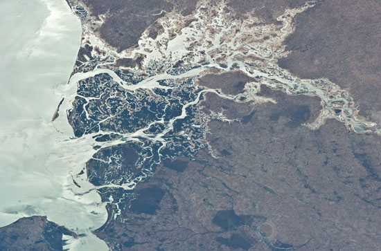 Sénégal - Sine-Saloum