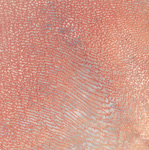 Photo satellite du désert de Rub al Khali