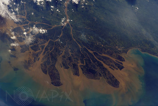 Borneo - Delta du fleuve Mahakam