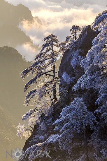 Huangshan - China