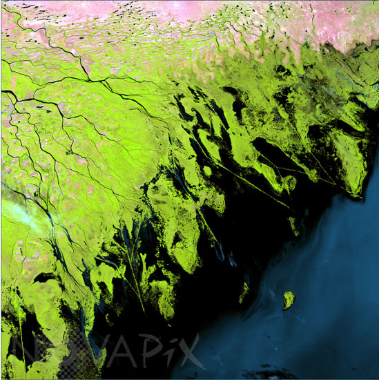 Volga river seen from satellite.