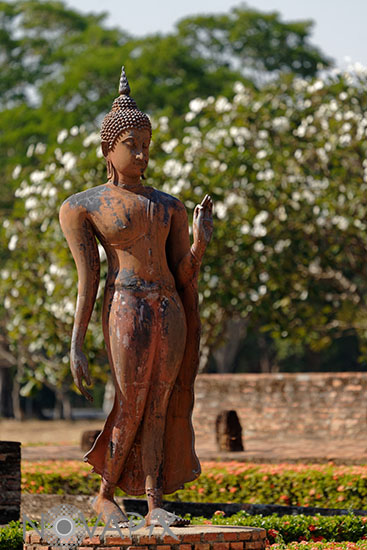 Bouddha marchant - Wat Sa Si - Sukhothaï