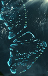 Photo satellite des atolls de Malosmadulu (Maldives)