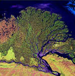 Delta de la Lena -Russie- vu par Landsat-7