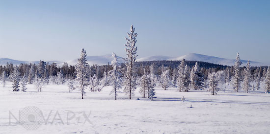 Winter landscape in Lapland
