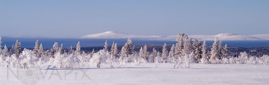 Paysage hivernal en Laponie