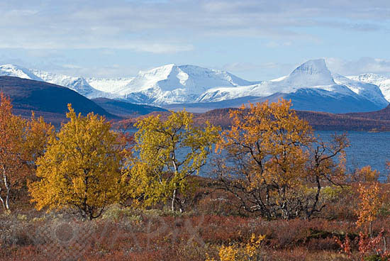 Rivages du Kilpisjarvï en automne