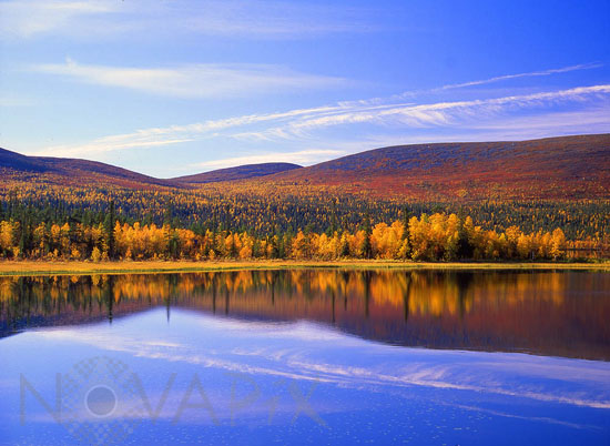 Vuontisjarvi shore in autumn -Lapland