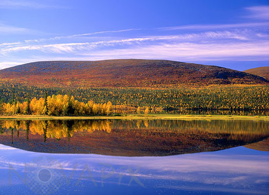 Vuontisjarvi shore in autumn -Lapland