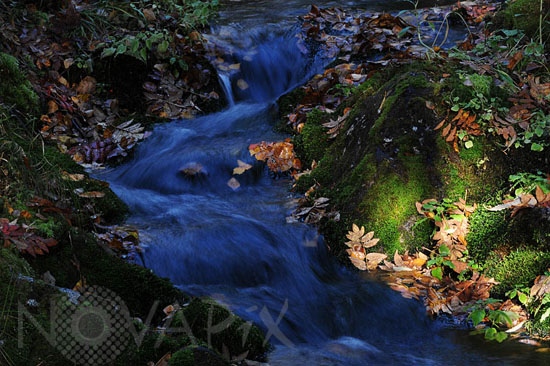 Torrent en automne -Laponie