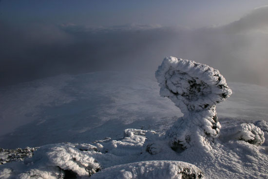 Summit of volcano Herdubreid in Iceland