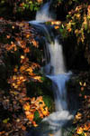 Cascade