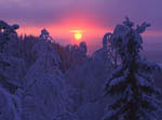 Lever de Soleil sur la forêt boréale