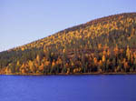 Rivages du lac Immel en automne -Laponie