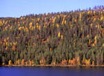Rivages du lac Immel en automne -Laponie
