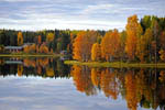 Rivages du lac Immel en automne -Laponie