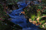 Torrent en automne -Laponie