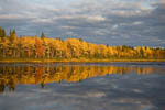 Rivages de la rivière Ounas en automne -Laponie