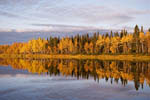 Rivages de la rivière Ounas en automne -Laponie