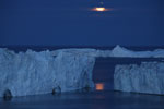 Icebergs - Groenland