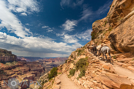 Grand Canyon, Arizona