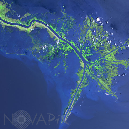 Delta du Mississippi, Louisiane, fausses couleurs vu par satellite Terra
