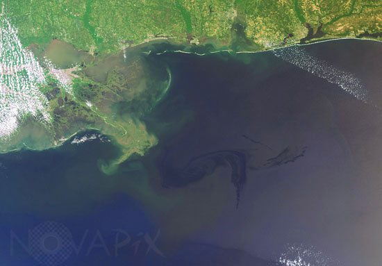 Pollution dans le Golfe du Mexique