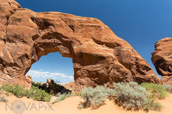 Pine Tree Arch - Arches National Park - Utah