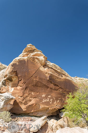Petroglyphes - Arches National Park - Utah