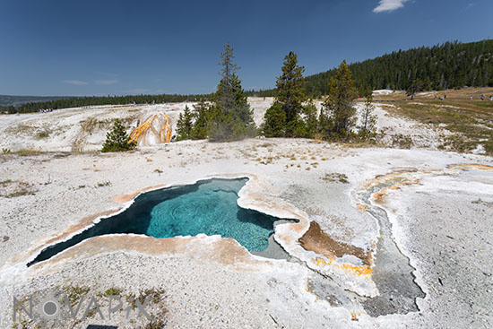 Blue Star Spring - Yellowstone 